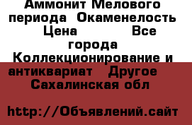 Аммонит Мелового периода. Окаменелость. › Цена ­ 2 800 - Все города Коллекционирование и антиквариат » Другое   . Сахалинская обл.